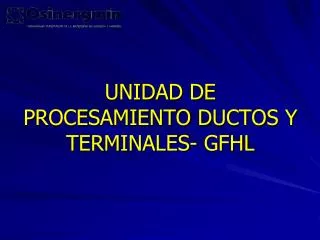 UNIDAD DE PROCESAMIENTO DUCTOS Y TERMINALES- GFHL