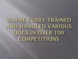 Wayne Curry - Owner