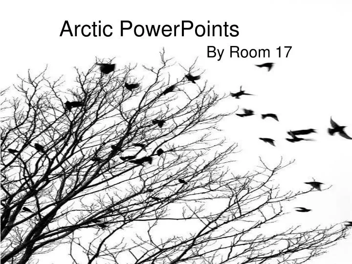 arctic powerpoints