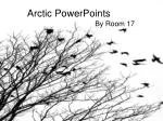 Arctic PowerPoints - slide 1