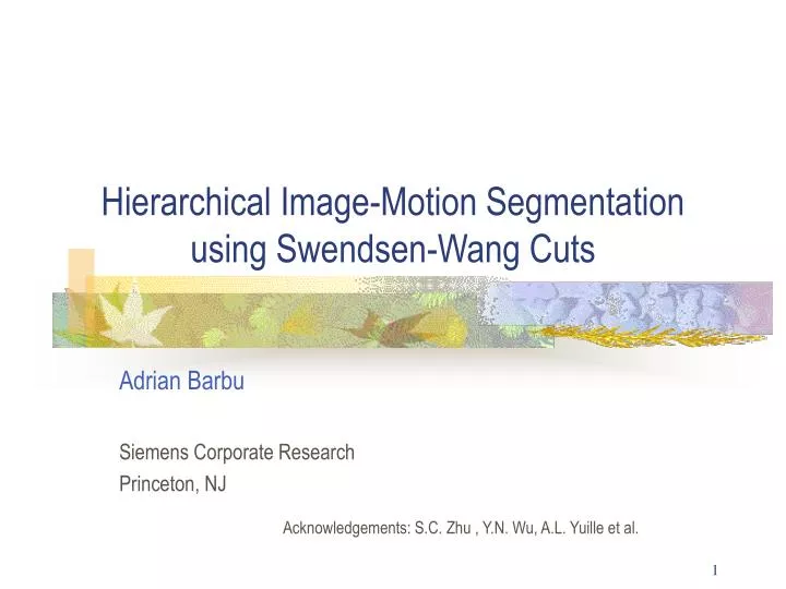 hierarchical image motion segmentation using swendsen wang cuts