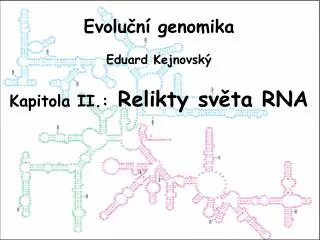 Evoluční genomika Eduard Kejnovský Kapitola II.: Relikty sv ět a RNA