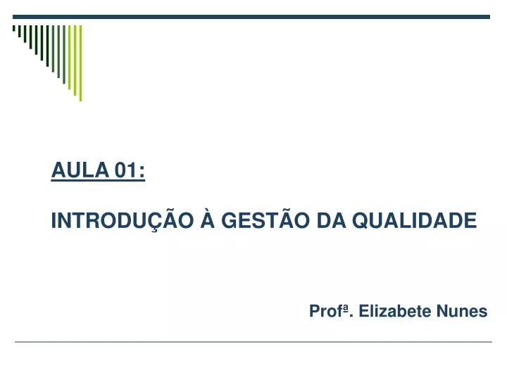 prof elizabete nunes