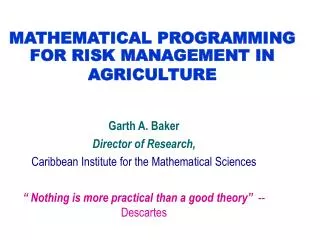 MATHEMATICAL PROGRAMMING FOR RISK MANAGEMENT IN AGRICULTURE
