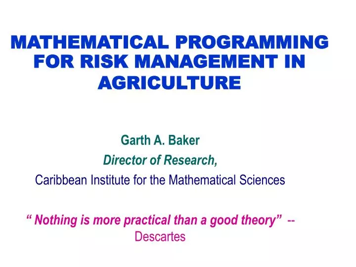 mathematical programming for risk management in agriculture