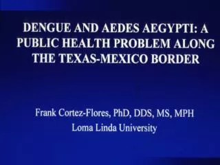 Dengue in the Americas 1980–1998