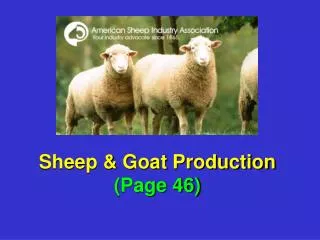 Sheep &amp; Goat Production (Page 46)