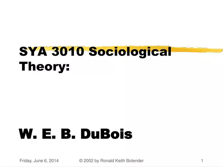 sya 3010 sociological theory w e b dubois