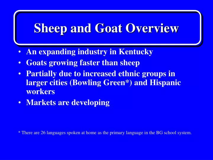 sheep and goat overview