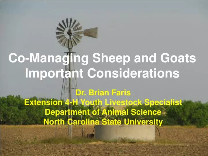 co managing sheep and goats important considerations