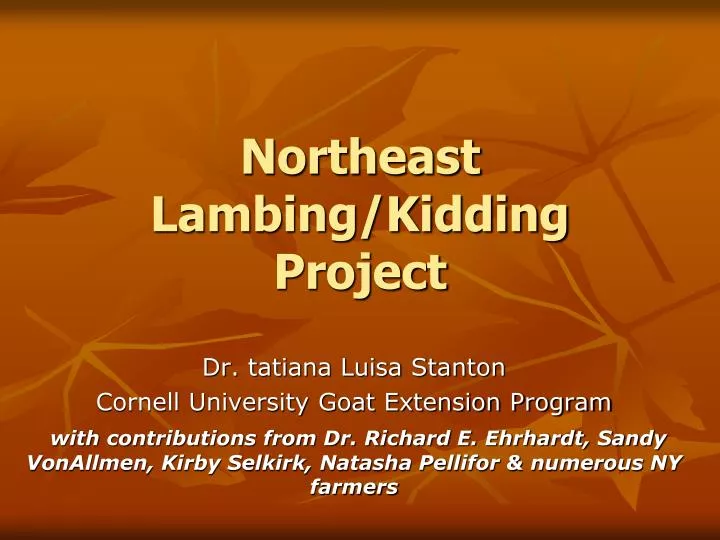 northeast lambing kidding project