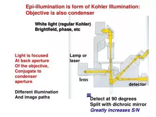 Epi-illumination is form of Kohler Illumination: Objective is also condenser