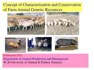 Concept of Characterization and Conservation of Farm Animal Genetic Resources