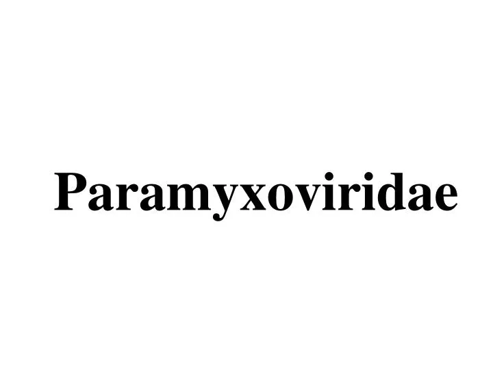 paramyxoviridae