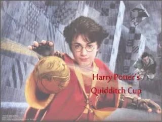 Harry Potter’s Quidditch Cup