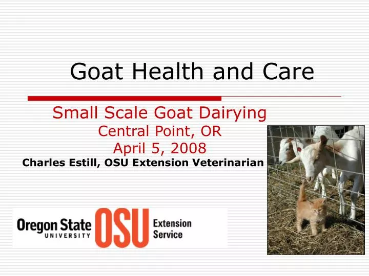 goat health and care