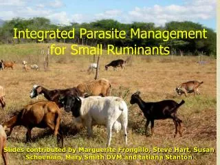 Integrated Parasite Management for Small Ruminants