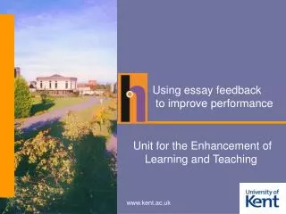 Using essay feedback to improve performance