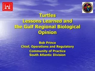 Turtles Lessons Learned and the Gulf Regional Biological Opinion