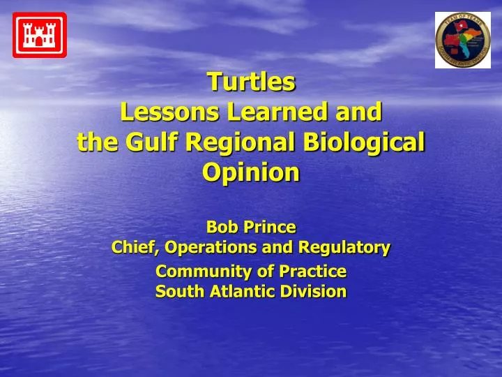 turtles lessons learned and the gulf regional biological opinion