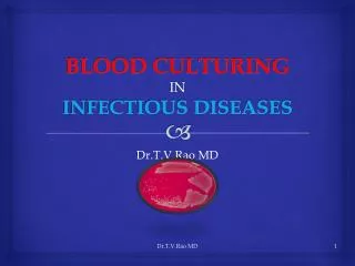 Blood Culturing in Infections