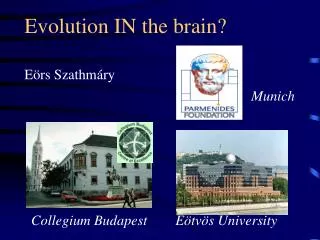 Evolution IN the brain?