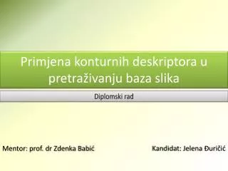 diplomski rad