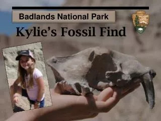 Kylie’s Fossil Find