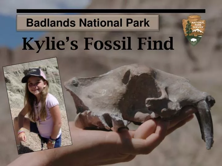 kylie s fossil find
