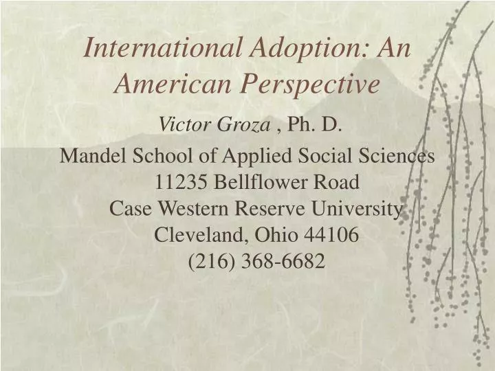 international adoption an american perspective