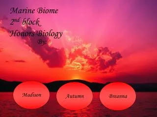 Marine Biome 2 nd block Honors Biology