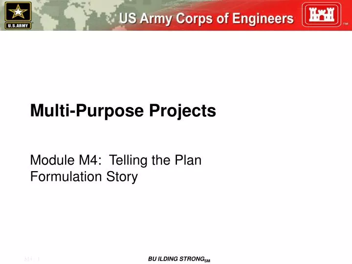 multi purpose projects