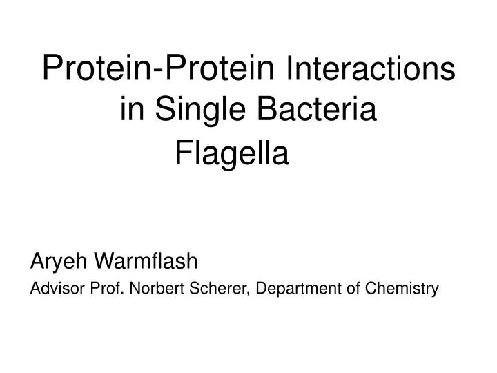 protein protein interactions in single bacteria flagella