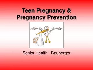 Teen Pregnancy &amp; Pregnancy Prevention