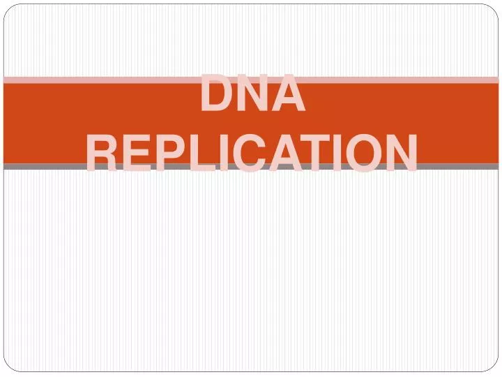 dna replication