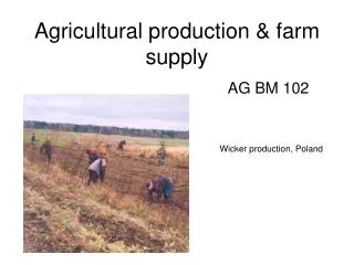 Agricultural production &amp; farm supply
