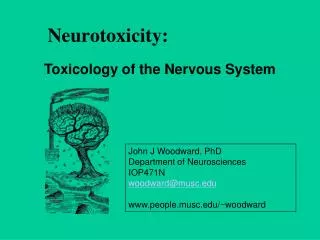 Neurotoxicity: