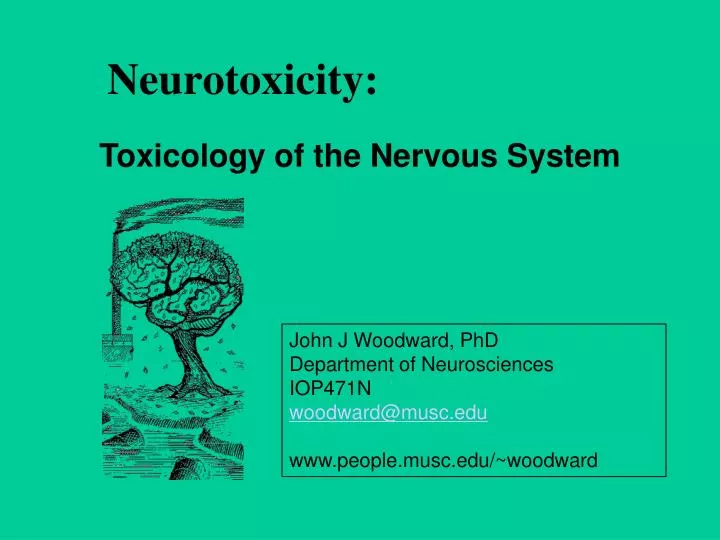 neurotoxicity
