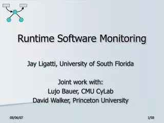 Runtime Software Monitoring