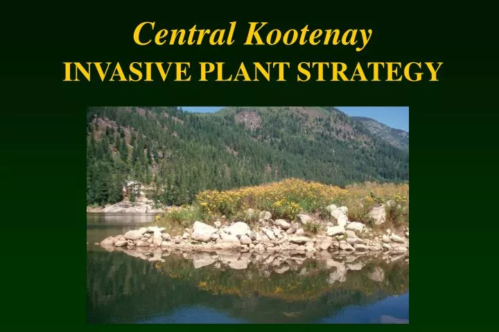 central kootenay invasive plant strategy