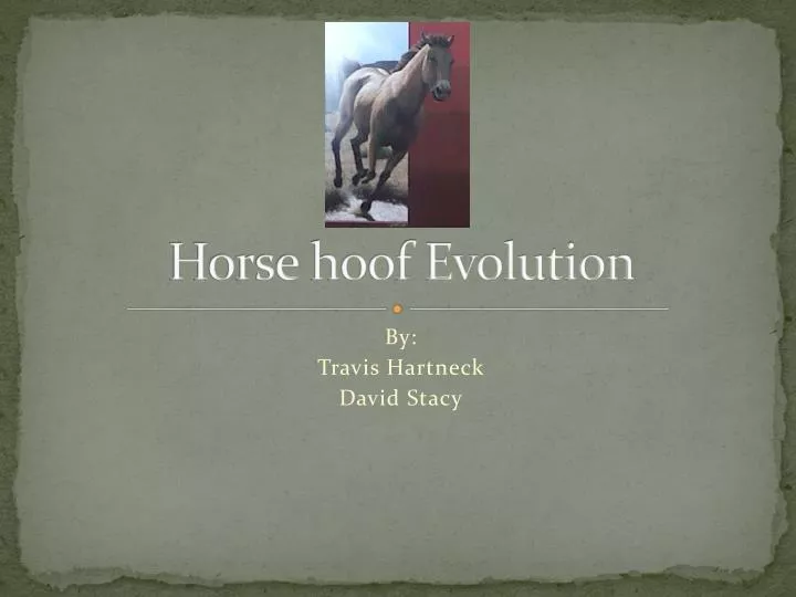 horse hoof evolution