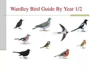 Wardley Bird Guide By Year 1/2