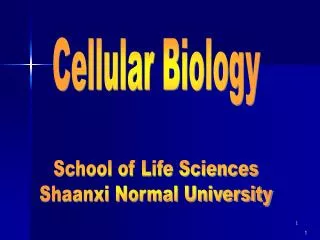 Cellular Biology