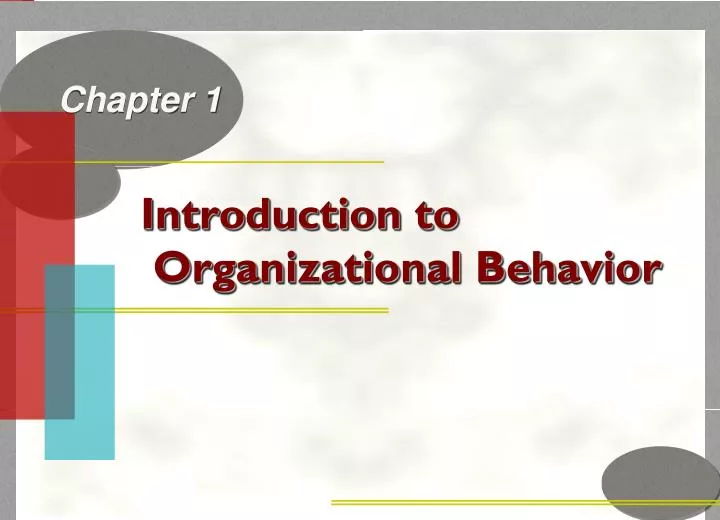 introduction to organizational behavior