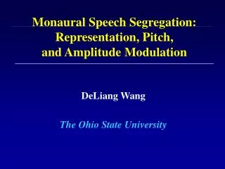 Monaural Speech Segregation: Representation, Pitch, and Amplitude Modulation