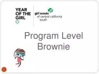 Program Level Brownie