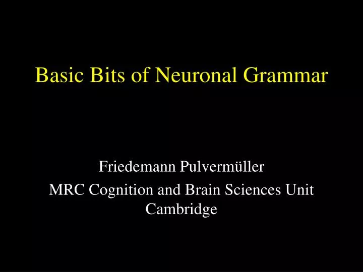 basic bits of neuronal grammar