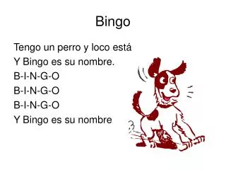 bingo