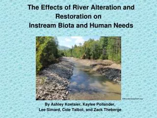 The Effects of River Alteration and Restoration on Instream Biota and Human Needs