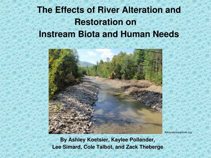 the effects of river alteration and restoration on instream biota and human needs